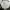 Keds Streetwear Sportswear Sneakers Wanita White