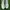 Keds Streetwear Sportswear Sneakers Wanita white photo 1