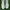 Keds Streetwear Sportswear Sneakers Wanita White