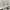 Keds Streetwear Sportswear Sneakers Wanita white photo 3