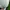 Keds Streetwear Sportswear Sneakers Wanita white photo 2