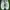 Keds Streetwear Sportswear Sneakers Wanita white photo 1