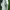 Keds Streetwear Sportswear Sneakers Wanita white photo 3