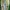 Keds Streetwear Sportswear Sneakers Wanita white photo 6