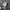 Nike Sportswear Tracksuit Pria gray photo 4