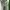 Keds Streetwear Sneakers Wanita white photo 4