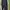 Keds Streetwear Sneakers Wanita black photo 7