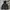 Nike ACG Gorpcore Sportswear Windbreaker Pria black photo 1