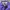 Phenix Vintage Windbreaker Pria purple photo 5