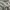 Calvin Klein Y2K Casual Polo shirt Pria multicolor photo 3