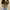 Gucci Luxury Bags & purse Wanita tan photo 2