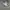 Polo Ralph Lauren Casual Polo shirt Pria gray photo 2