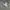 Polo Ralph Lauren Casual Polo Shirt Pria Gray