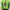 Vintage Track Jacket Pria Green