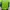 Vintage Track jacket Pria green photo 2