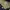 A Bathing Ape Vintage Puffer jacket Pria navy photo 3
