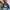 Luxury Biker Jeans Pria multicolor photo 5