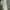 Vintage Y2K Pria green photo 3