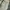 Vintage Y2K Pria green photo 2