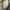 Vintage Y2K Pria green photo 7