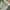 Vintage Y2K Pria green photo 5