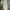 Vintage Y2K Pria green photo 1