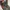 Adidas Streetwear Casual shoe Pria red black photo 3