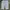 GAP Minimalist Casual Short Pria White Blue