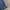 Adidas Sportswear Casual Short Pria navy photo 3