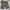 Southpole Streetwear Y2K Jeans Pria black gray photo 1