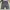 Lee Vintage Y2K Jeans Pria gray photo 1