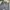Lee Vintage Y2K Jeans Pria gray photo 3