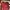 Alpha Industries Streetwear Sweatshirt Pria Red