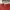 Alpha Industries Streetwear Sweatshirt Pria Red