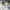 Umbro Casual Casual shirt Pria white photo 1