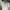 Burberry Casual Casual shirt Pria cream photo 2