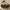 Burberry Luxury Bags & purse Wanita brown photo 5