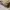 Burberry Luxury Bags & purse Wanita brown photo 3