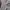 Vintage Cardigan Wanita gray photo 5