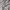 Vintage Cardigan Wanita gray photo 3