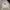Dickies Casual Sweater Pria white photo 1