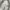 DANPOL Vintage Casual Harrington jacket Pria cream photo 4
