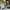 MLB Sportswear Casual Sandals & slide Wanita tan photo 3