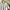 Casual Polo shirt Pria white photo 2