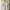 Casual Polo shirt Pria white photo 1