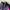 Blackyak Sportswear Windbreaker Wanita Multicolor Pink