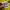 A Bathing Ape Streetwear Y2K Fleece Pria cream yellow photo 6