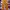 A Bathing Ape Streetwear Sportswear Sweatpants & Joggers Pria cream yellow photo 1
