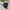 MLB Casual Bomber jacket Kids black photo 8