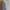Minimalist Culotte Wanita cream photo 2